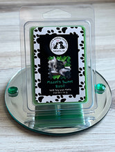 Load image into Gallery viewer, Mazel's Sweet Basil - Soy Clamshell Wax Melts - Sweet Basil Scent