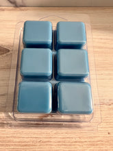 Load image into Gallery viewer, Charlie Bear's Odor Zapper - Odor Removing Soy Clamshell Wax Melts - Set of 6 - Laundry Detergent Like Scent