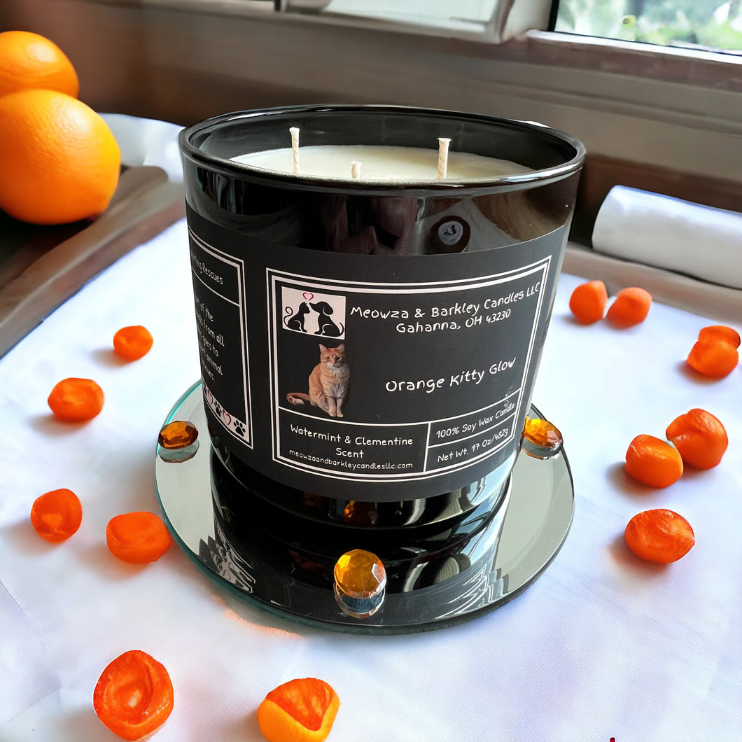 Orange Kitty Glow - Large Jar 17 Ounce 3 Wick Soy Candle - Watermint and Clementine Scent